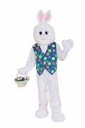 a Easter Bunny Costume a Easter Bunny Costume