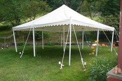 Canopy 20x20 GRASS ONLY d Canopy 20x20 GRASS ONLY d
