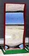 Fun House Mirror each Fun House Mirror each